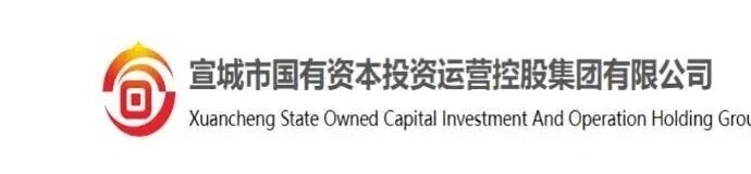 宣城市国有资本投资运营控股集团有限公司