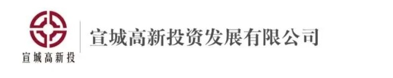 宣城高新投资发展有限公司
