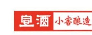 宣酒集团